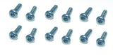 Plum Blossom Washer Head Screw 3*10mm